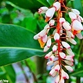 20110703_473.JPG