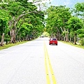 20110704_091.JPG