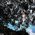 20110704_127.JPG