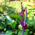 20110917_017.JPG