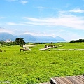 20110705_012.JPG