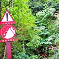 20111126_047.JPG