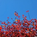20121013_010