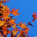 20121013_011