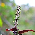 20121013_050