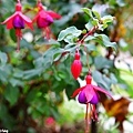 20121013_051