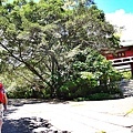 20130704_102.JPG