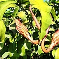 20130705_003.JPG