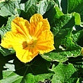 20130705_005.JPG