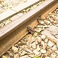 20151218_037s.jpg