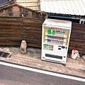 20151218_047s.jpg