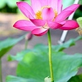 20110604_023.JPG