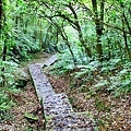 20110521_093.JPG