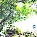 20110521_057.JPG