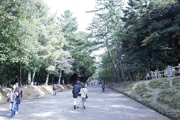 奈良2015玄蕎麥麵及公園鹿群 - 24