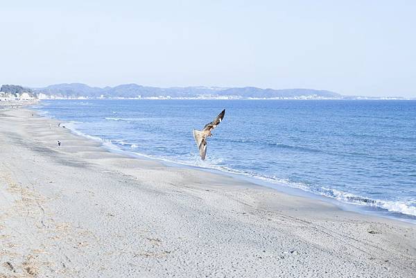 鎌倉/江之島 - 5