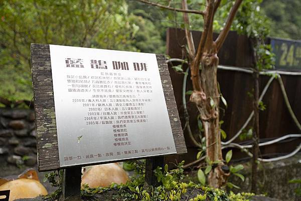 藍鵲咖啡 - 4 藍鵲咖啡 - 4