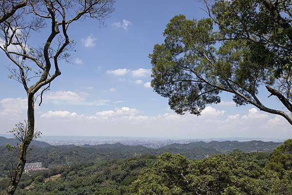 飛花落院 2022 年午餐初訪 - 62