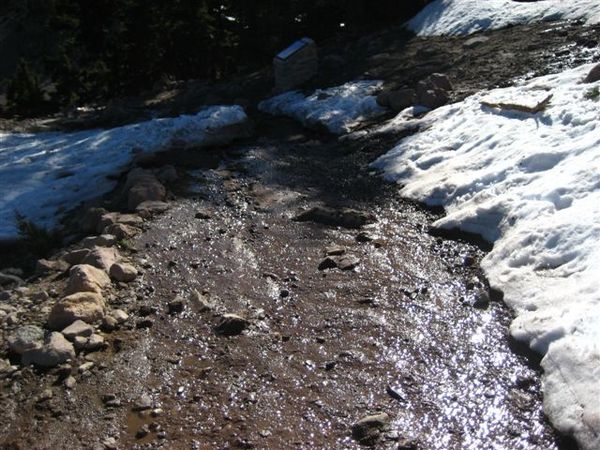 沒想到下山後才發現來的路 雪都已經溶了