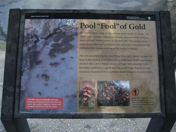 傻子池 pool fool of gold