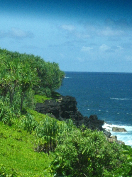 沿著海岸線開