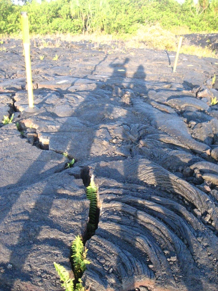 傍晚的太陽把我們印在火山石上