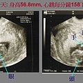 12W1D.bmp