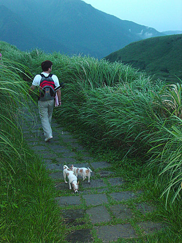 陽明山之旅20.jpg