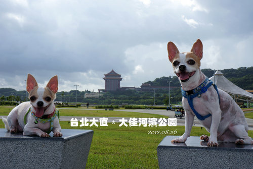 20120826大佳河濱公園2.jpg