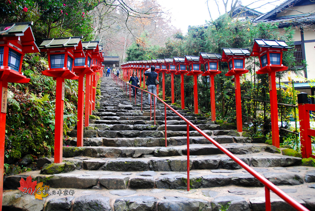 日本京都追紅葉Day2-5貴船神社看掉光的紅葉和點燈.jpg