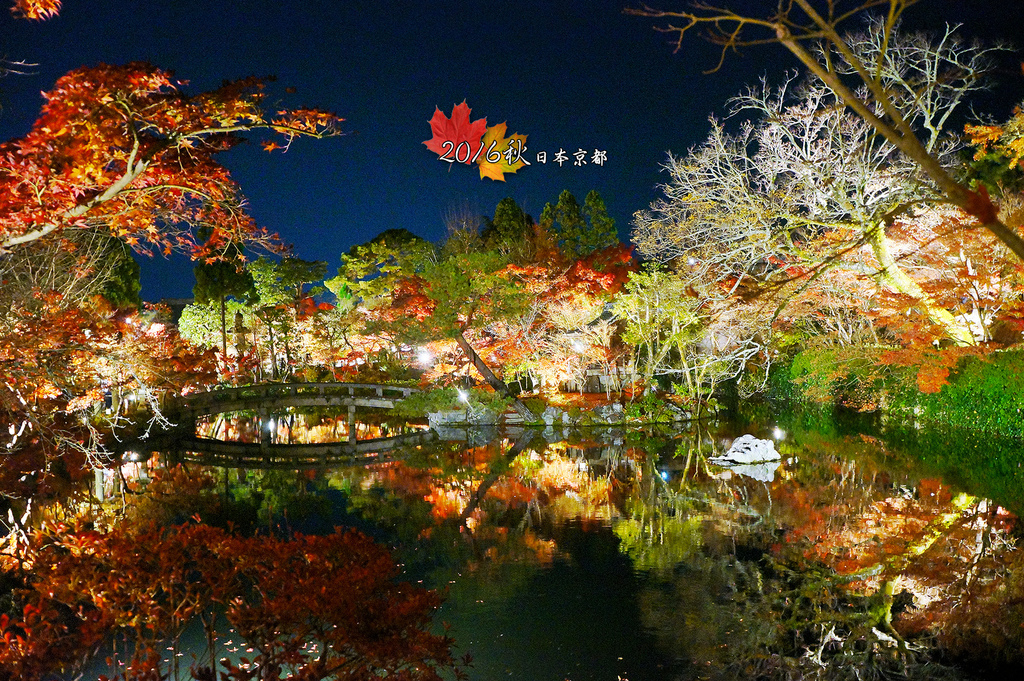 日本京都追紅葉Day3-6回永觀堂賞夜櫻.jpg