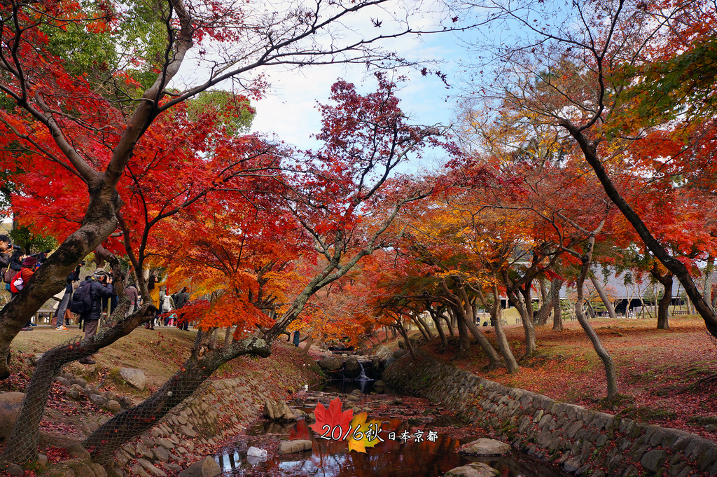 日本京都追紅葉Day4-5奈良公園.jpg