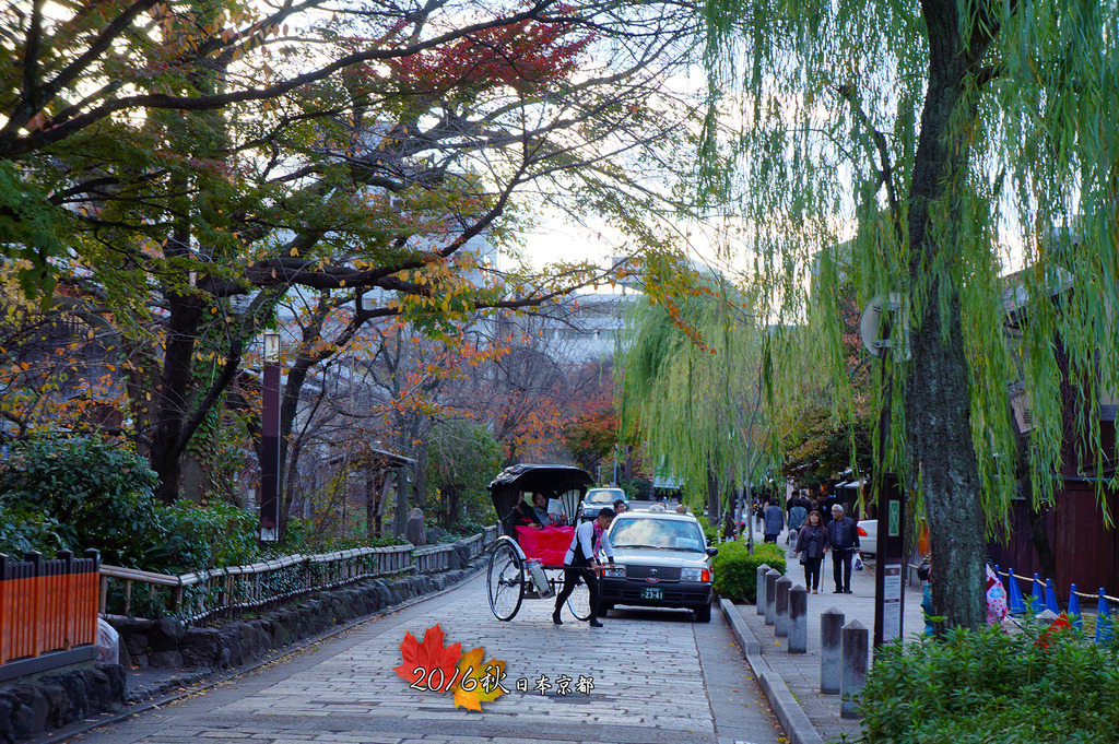 日本京都追紅葉Day5-10祇園白川風情萬種.jpg