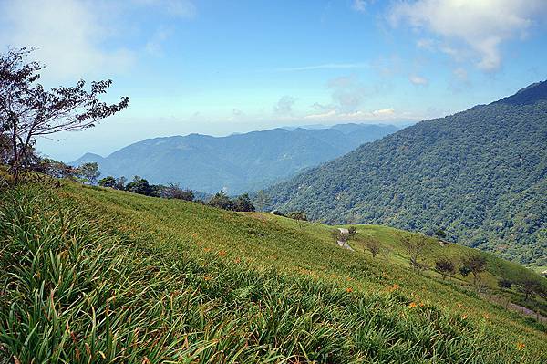 台東太麻里金針山3之忘憂谷.jpg