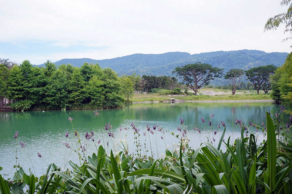 花蓮壽豐雲山水自然生態農場7.jpg