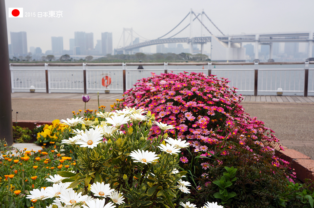 420_023春天的花兒朵朵開.jpg