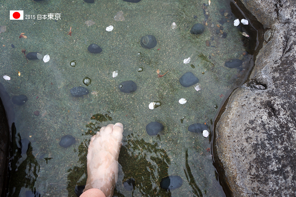 420_110足湯裡有腳底按摩石但其實當時是要拍櫻花瓣.jpg