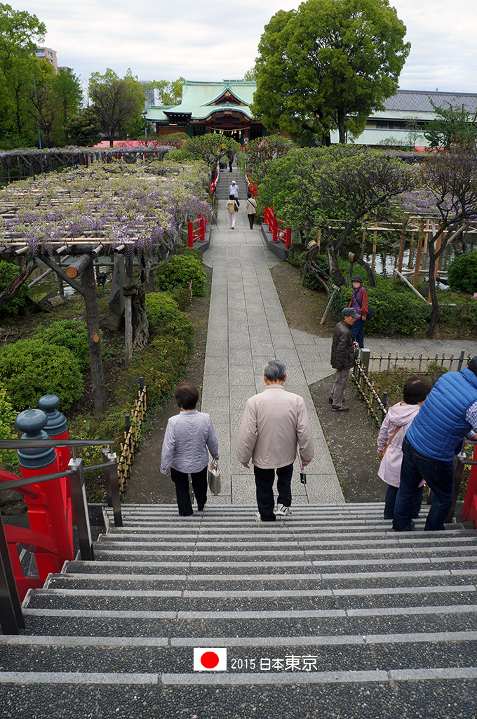 0421_127要穿過紫藤花海和兩座太鼓橋才會到達本殿.jpg