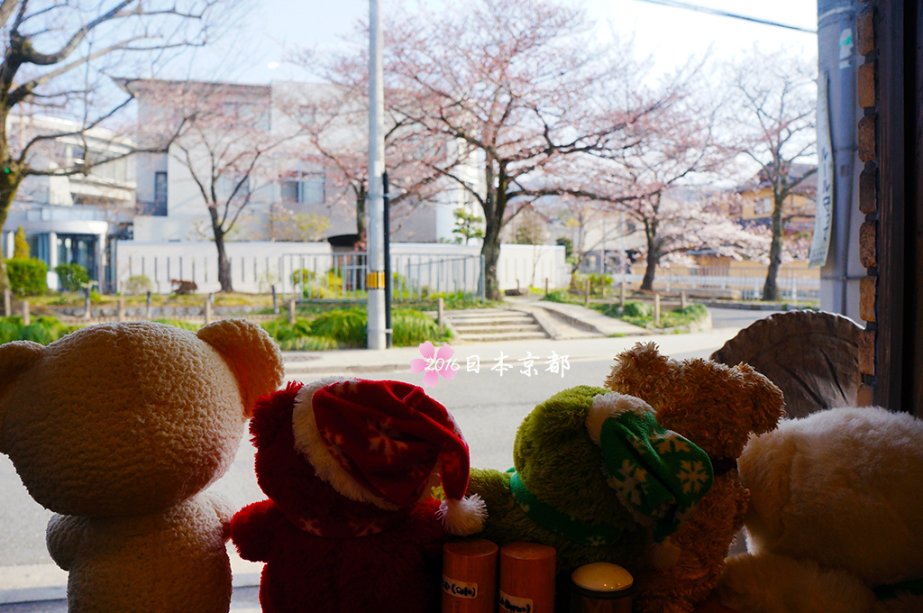 0331-040幸福的店熊看著窗外櫻花.jpg