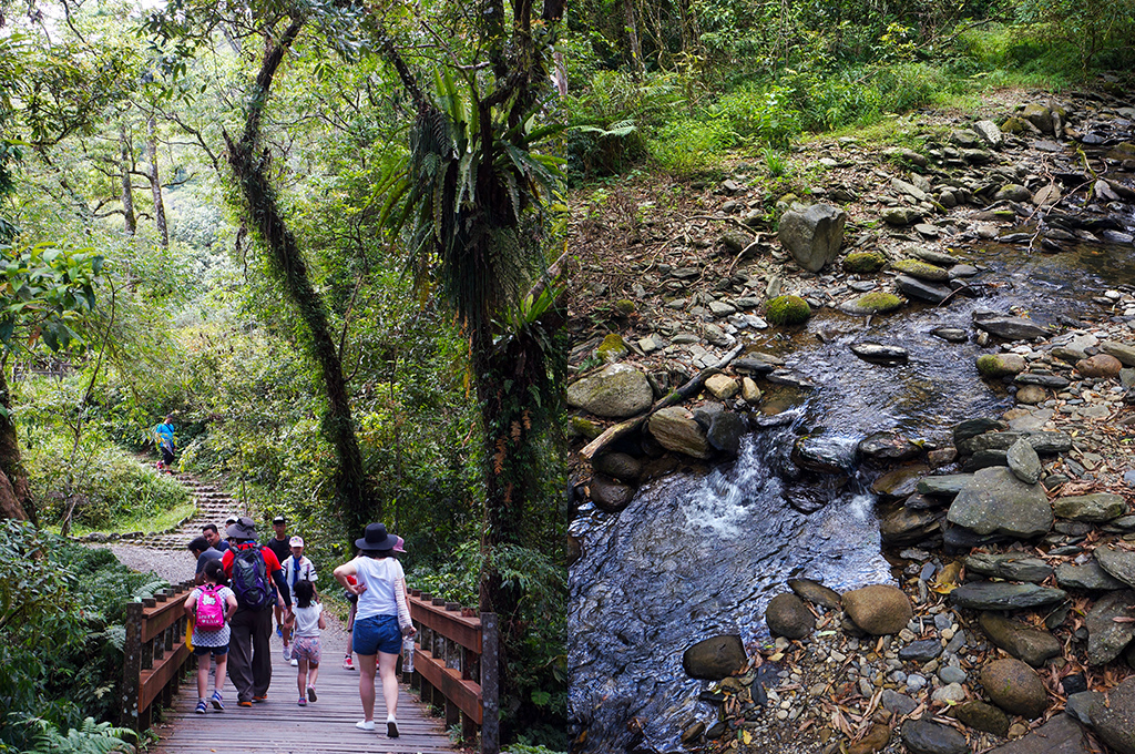 宜蘭員山11福山植物園之哈盆溪也是很清澈.jpg