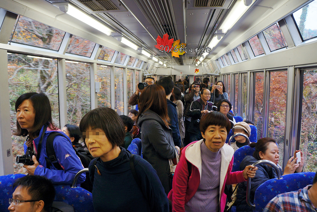 1121-022紅葉專車就是有大片玻璃窗可欣賞窗外風景.jpg