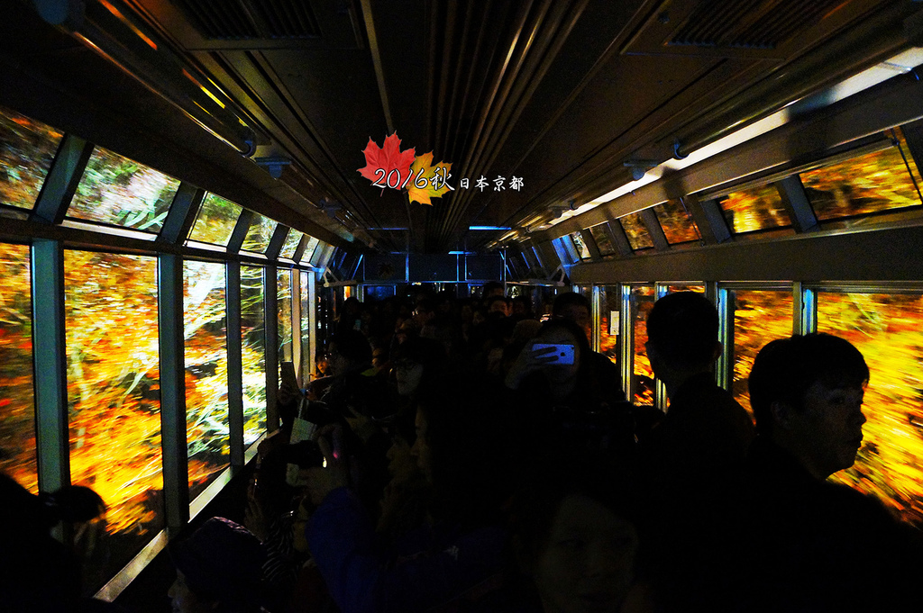 1121-041等坐觀景車就為了這紅葉隧道.jpg