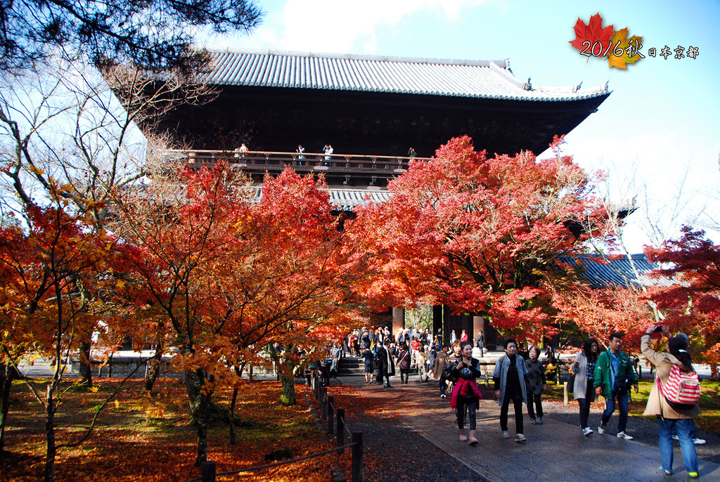 1122-022來到最高潮的第三天紅葉南禪寺.jpg