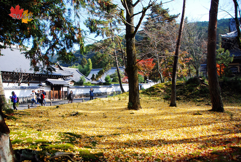 1122-069除了紅地毯也有黃地毯.jpg