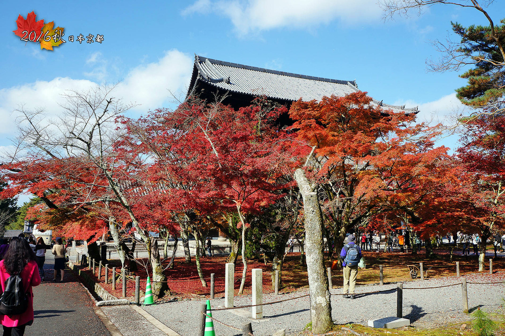 1122-094南禪寺掰了有緣再見了.jpg