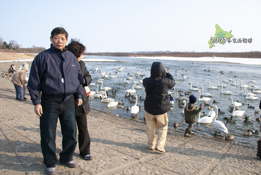 2007冬末北海道10-DAY2午餐後到十勝川看天鵝野鴛鴦.jpg