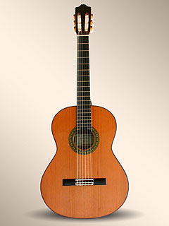 guitarra.jpg