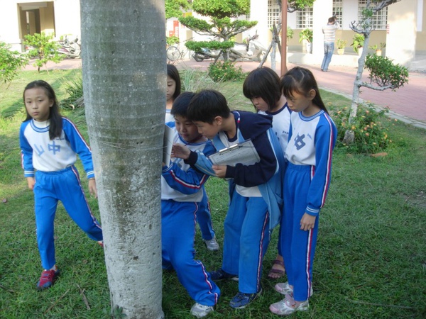 508利用PDA認識校園植物19.JPG