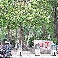 台南孔廟.JPG