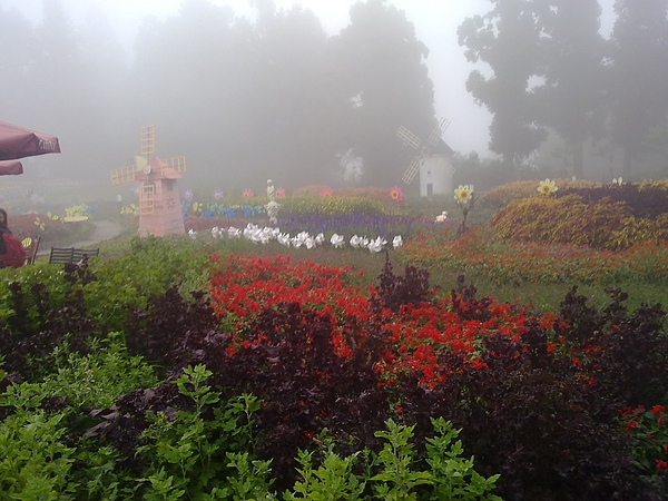 20100905295.jpg